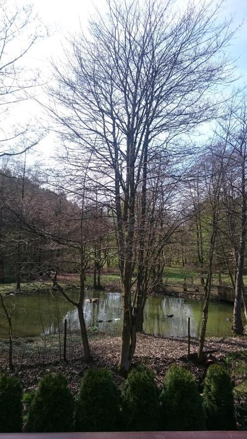 Ferienwohnung Am Ententeich Bad Marienberg Exteriér fotografie